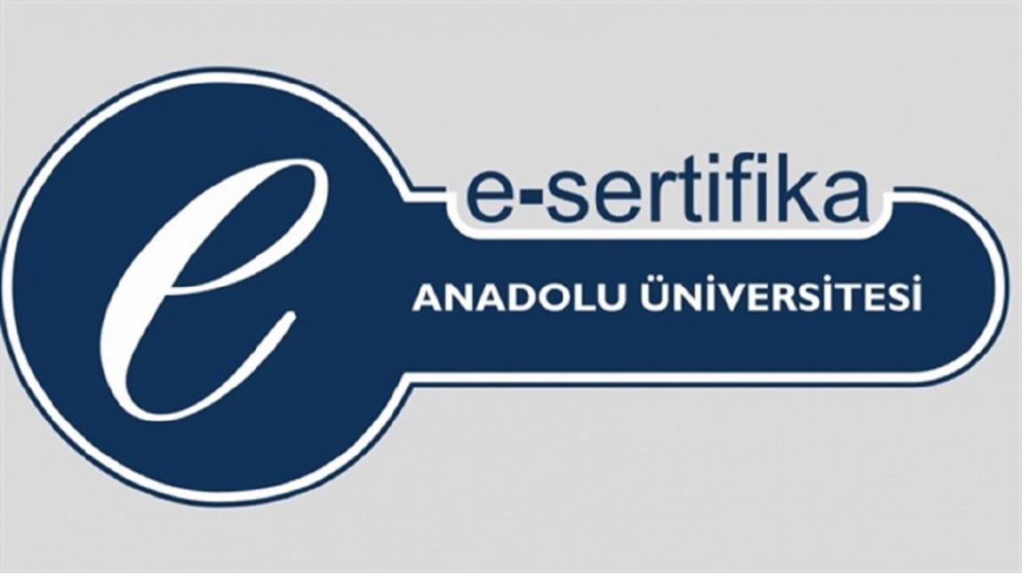Anadolu Üniversitesi e-Sertifika Programları
